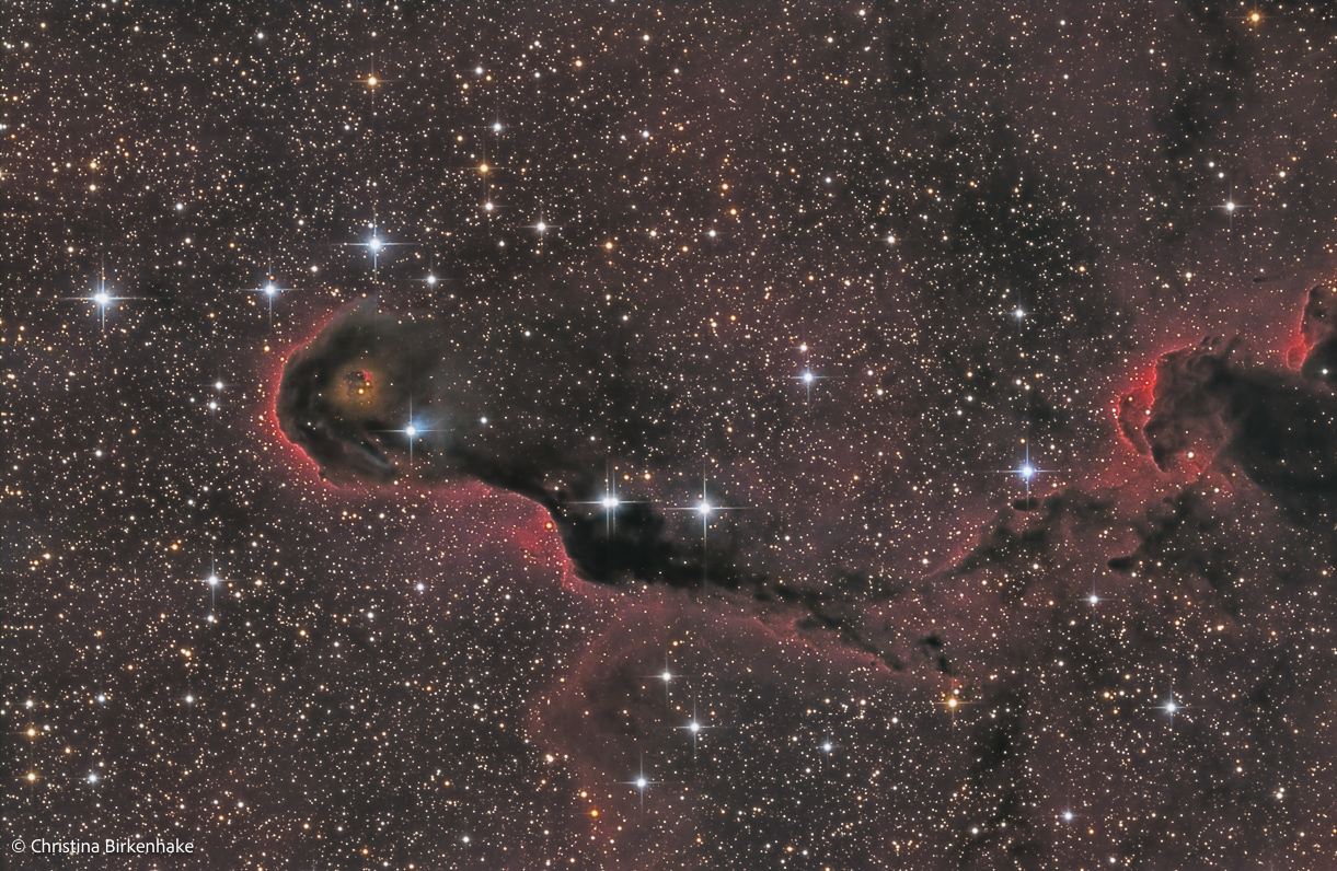 Elephantenrüssel, Sternbild Kepheus